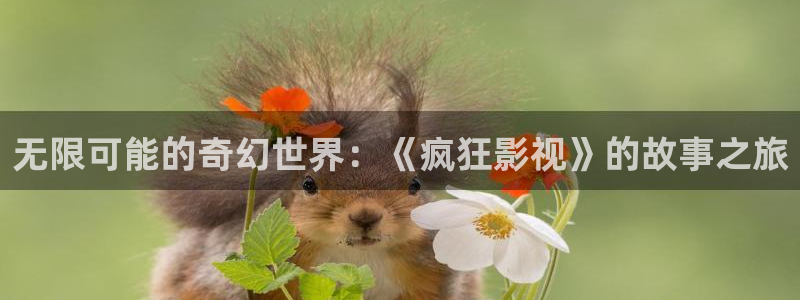 99视频在线免费看：无限可能的奇幻世界：《疯狂影视》的故事之旅
