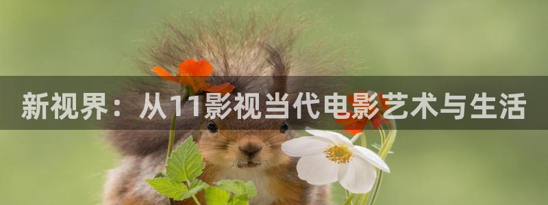 99视频在线：新视界：从11影视当代电影艺术与生活