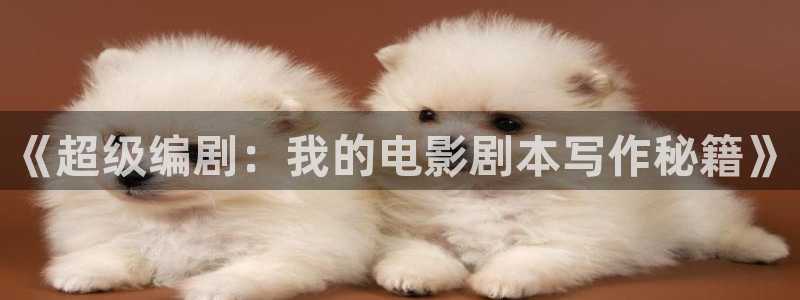 99视频1：《超级编剧：我的电影剧本写作秘籍》