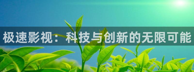 深夜99视频：极速影视：科技与创新的无限可能