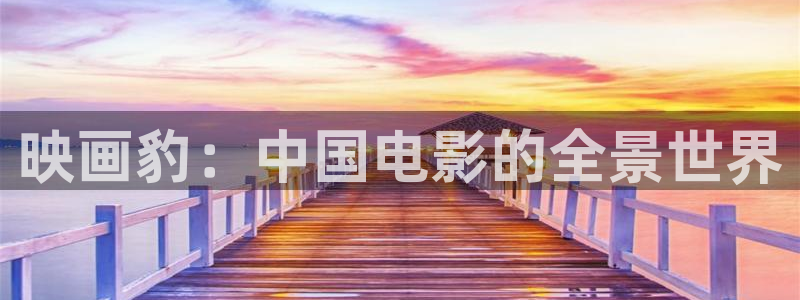 99视频好搞：映画豹：中国电影的全景世界