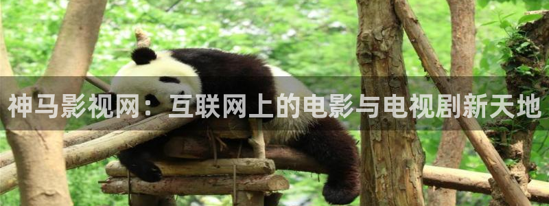 99视频热：神马影视网：互联网上的电影与电视剧新天地